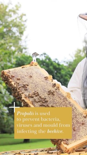 Video post from comvita_au.