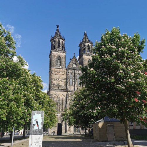 Photo post from visit.magdeburg.