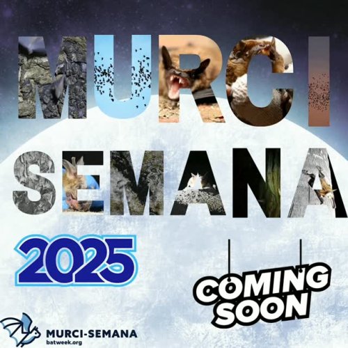Video post from murcisemana_oficial.