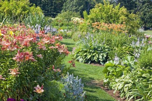 Photo post from waysidegardens.