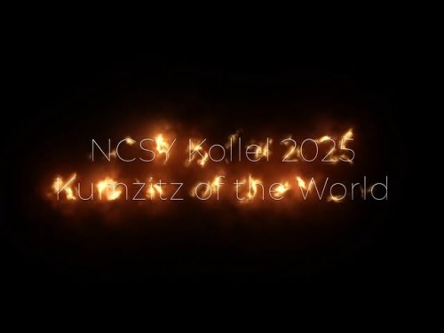 Video post from ncsykollel.