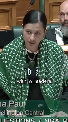 Video post from nzgreenparty.