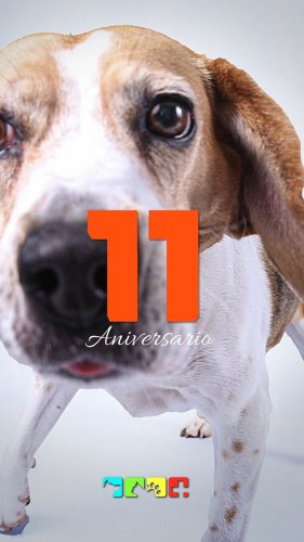 Video post from medicalpettj.