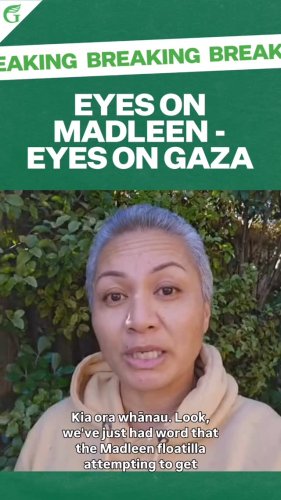 Video post from nzgreenparty.