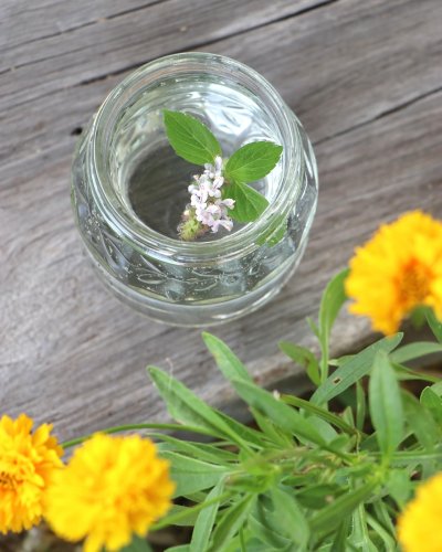 Carousel post from currumbinvalleyharvest.
