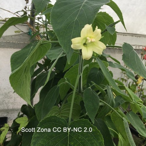 Photo post from scott.zona.