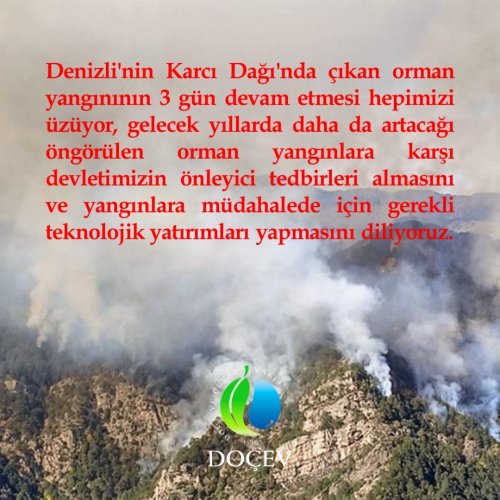 Photo post from dogavecevrevakfi.