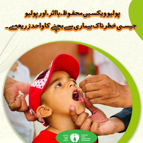 Photo post from pakfightspolio.