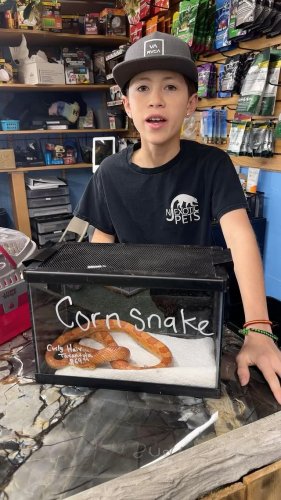 Video post from njexoticpets.