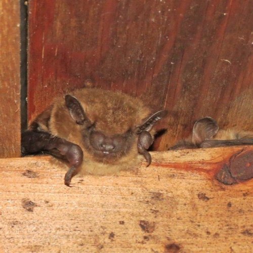 Photo post from murphyspointpp.