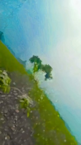 Video post from tufajul_556.