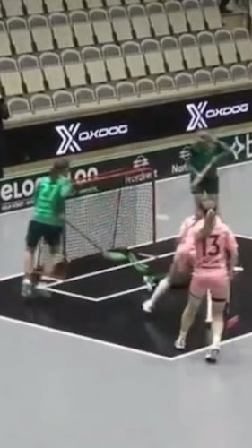 Video post from kauppitwins.