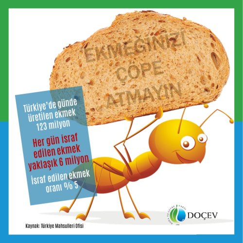 Photo post from dogavecevrevakfi.