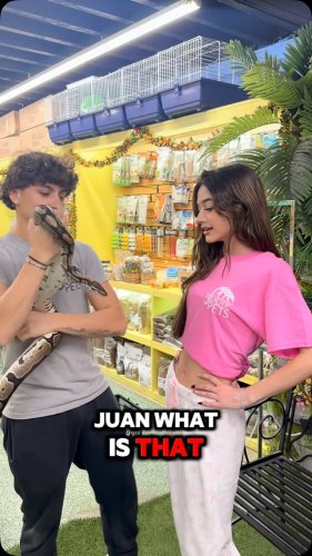 Video post from njexoticpets.
