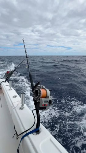 Video post from ejs_fishing_charters.