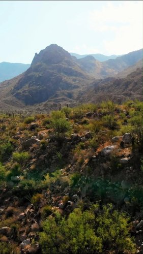 Video post from visittucson.