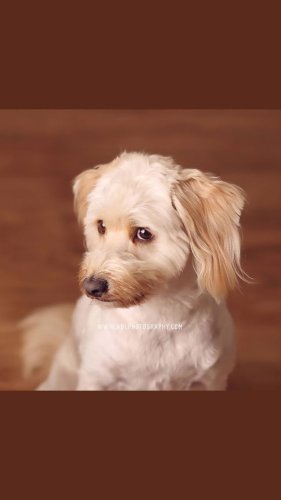 Video post from abl_photography_sandiego.