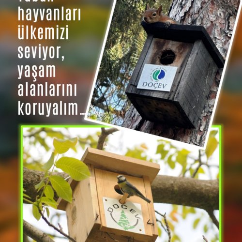 Photo post from dogavecevrevakfi.