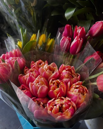 Photo post from la_gifteria.