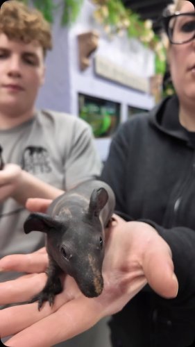Video post from njexoticpets.