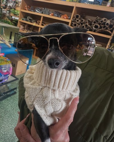 Photo post from njexoticpets.