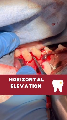 Video post from toothy.thomson.