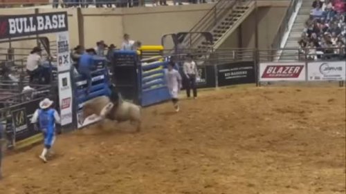 Video post from reddirthatco.