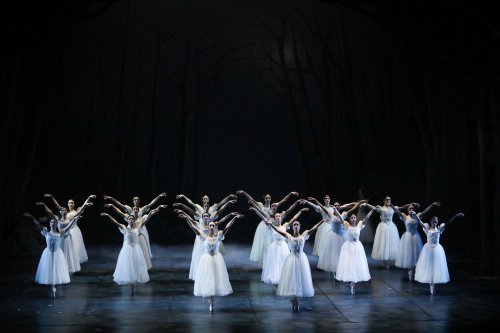 Photo post from dubrovnikfestival.