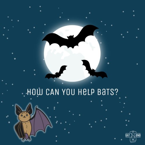 Carousel post from batbnb.