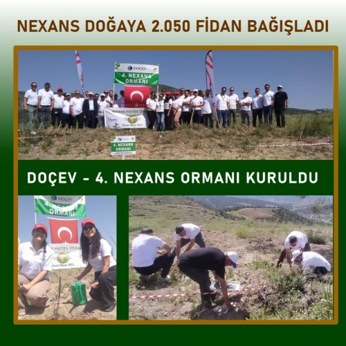 Photo post from dogavecevrevakfi.
