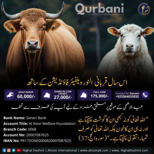 Photo post from nighathashmi.