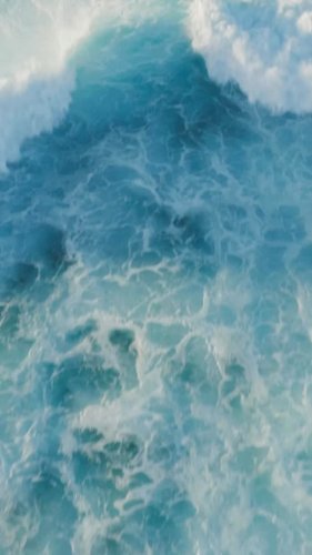 Video post from unops_official.