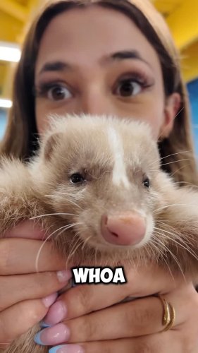Video post from njexoticpets.