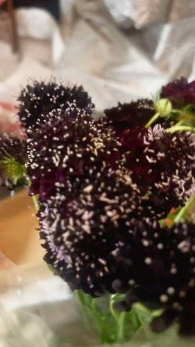 Video post from la_gifteria.