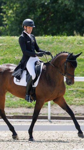 Video post from fei_global.