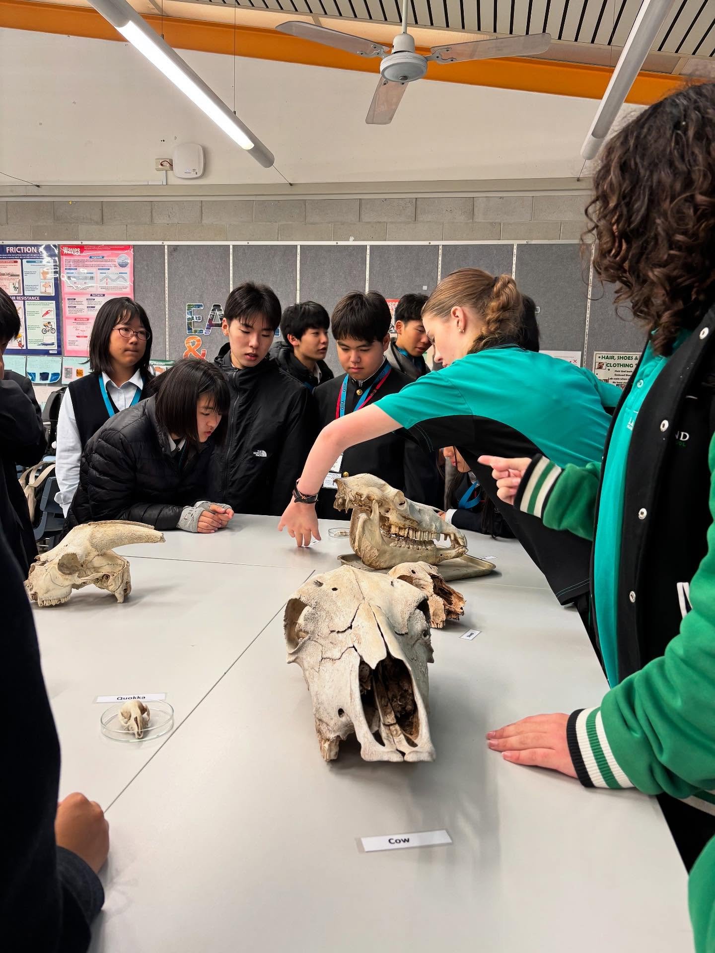 Carousel post from itoshima_hs.