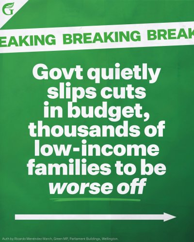 Carousel post from nzgreenparty.