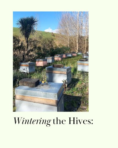 Carousel post from comvita_au.