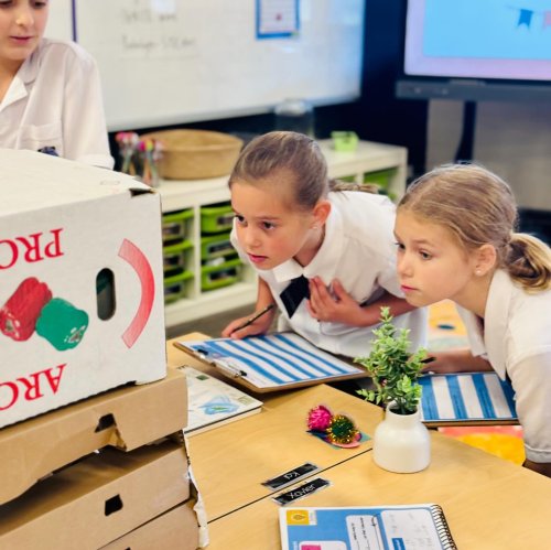 Carousel post from standrewsanglicancollege.