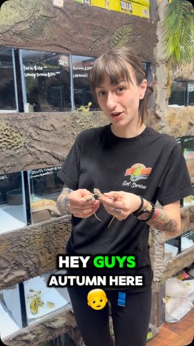 Video post from njexoticpets.