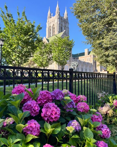 Photo post from bostoncollege.