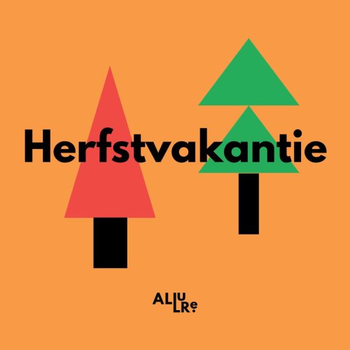 Photo post from allurescholen.