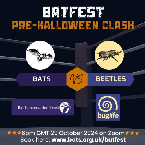 Photo post from batconservationtrust.