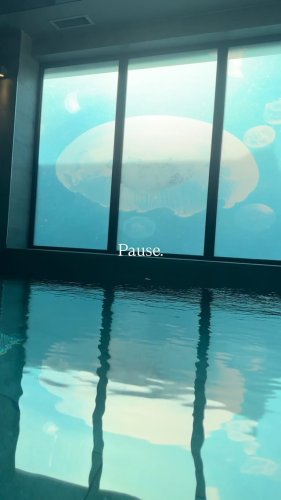 Video post from lincombe_hall.