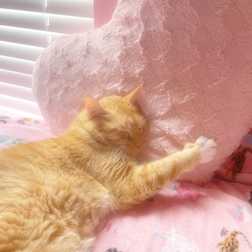 Carousel post from margaritabloom.