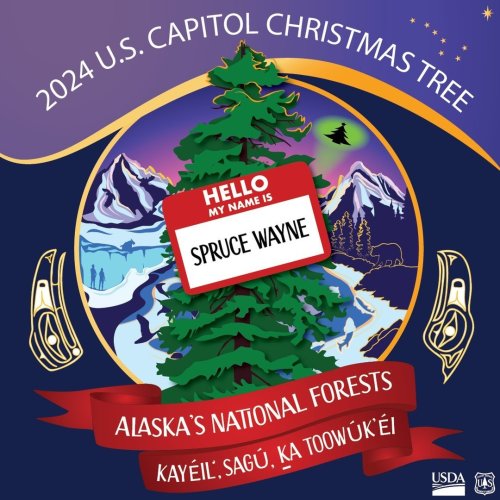 Photo post from uscapitolchristmastree.