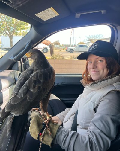 Photo post from desertkingsfalconry.