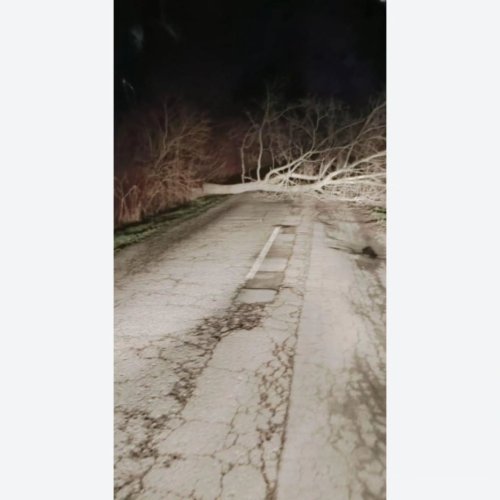 Photo post from sremskatelevizija.