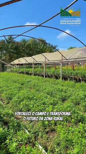 Video post from ananindeuapma.