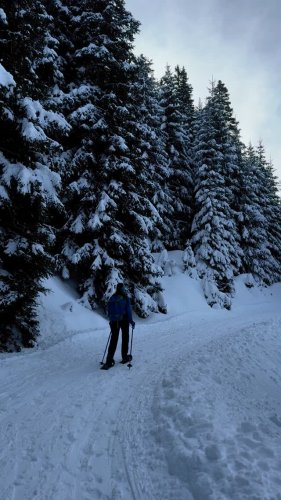 Video post from innsbrucktourism.